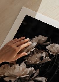 Dark White Roses-5