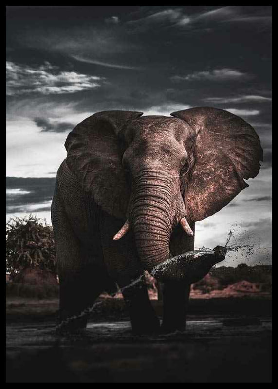 Photographic African elephant with large tusks by water-12