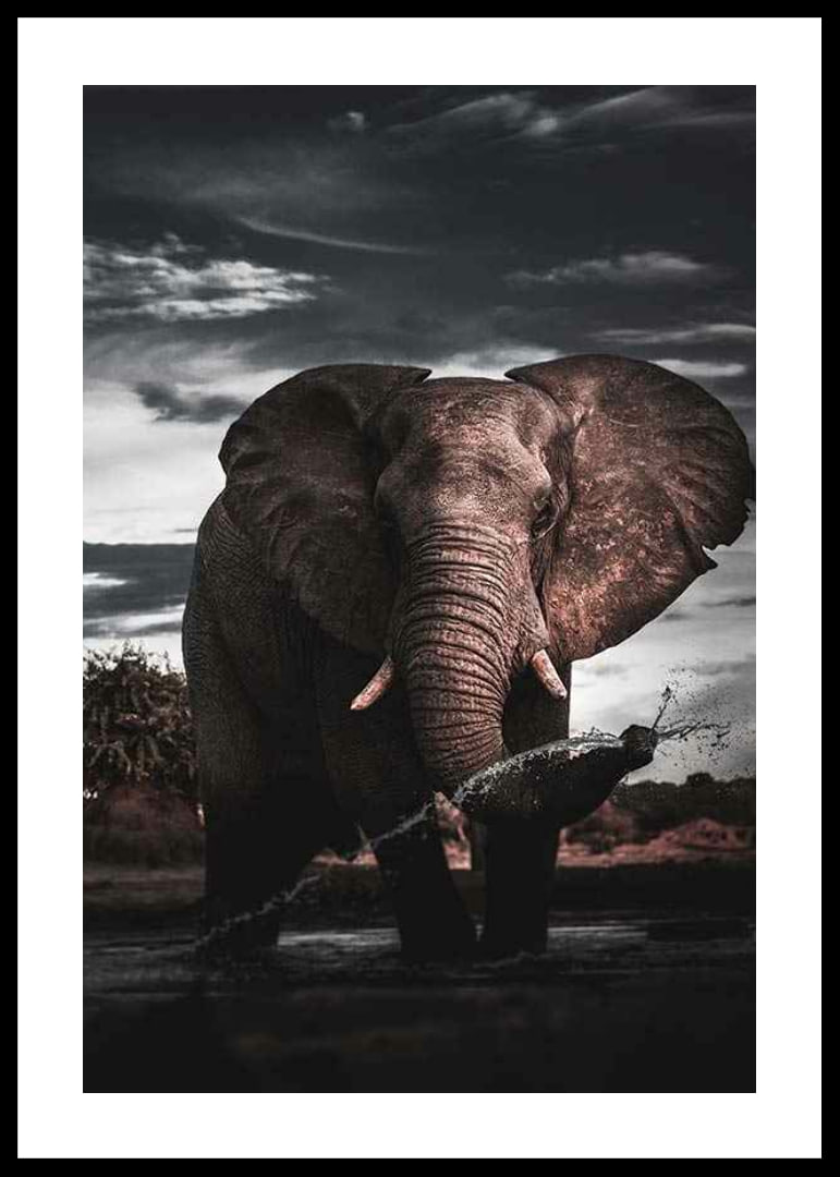 Photographic African elephant with large tusks by water-12