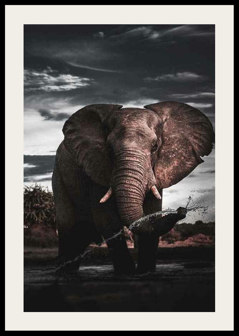 Fotograficzny słoń afrykański z dużymi kłami nad wodą-12