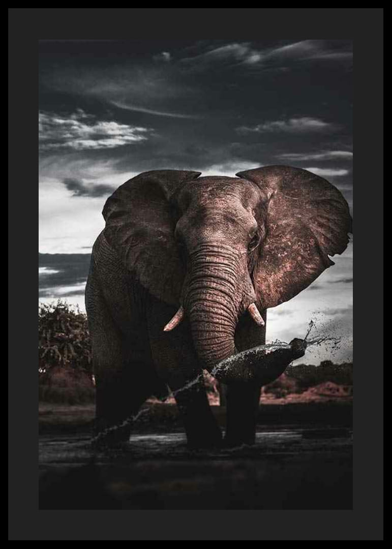 Fotograficzny słoń afrykański z dużymi kłami nad wodą-12