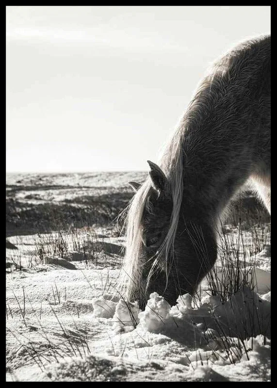 Photographic horse in winter landscape with light shades-12