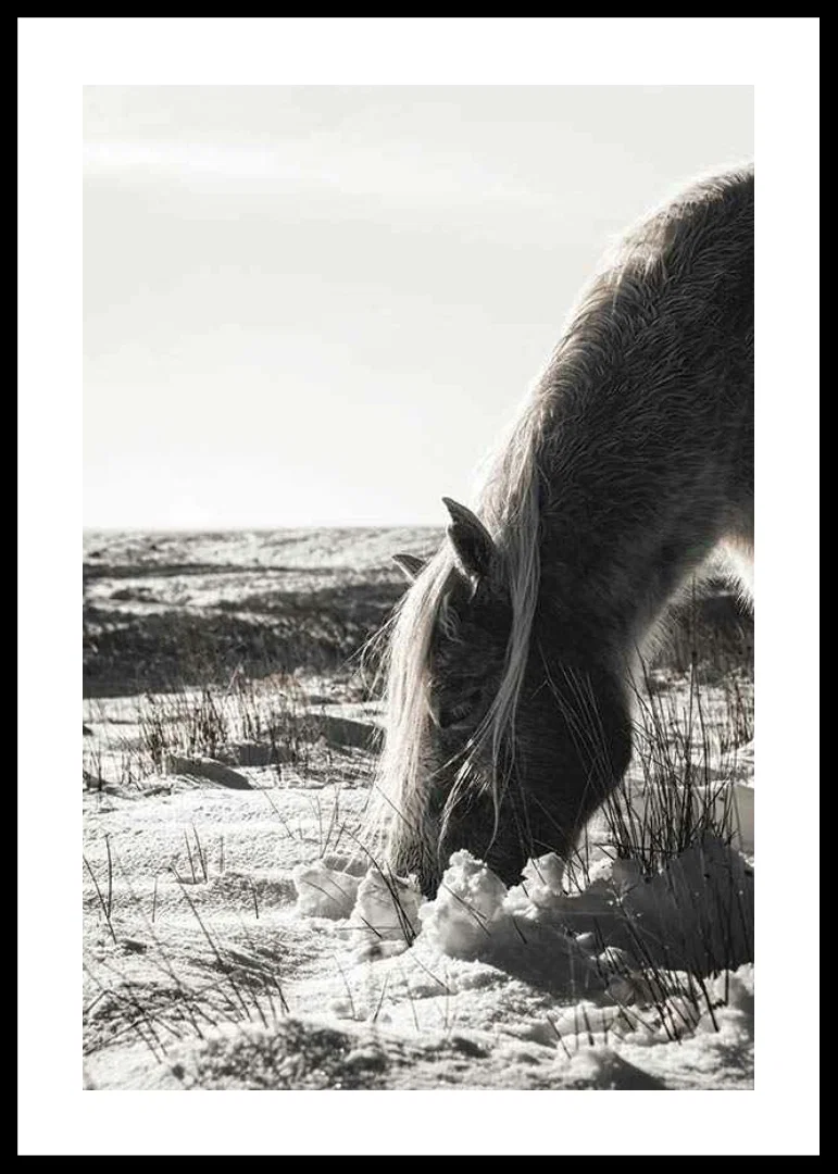 Photographic horse in winter landscape with light shades-12