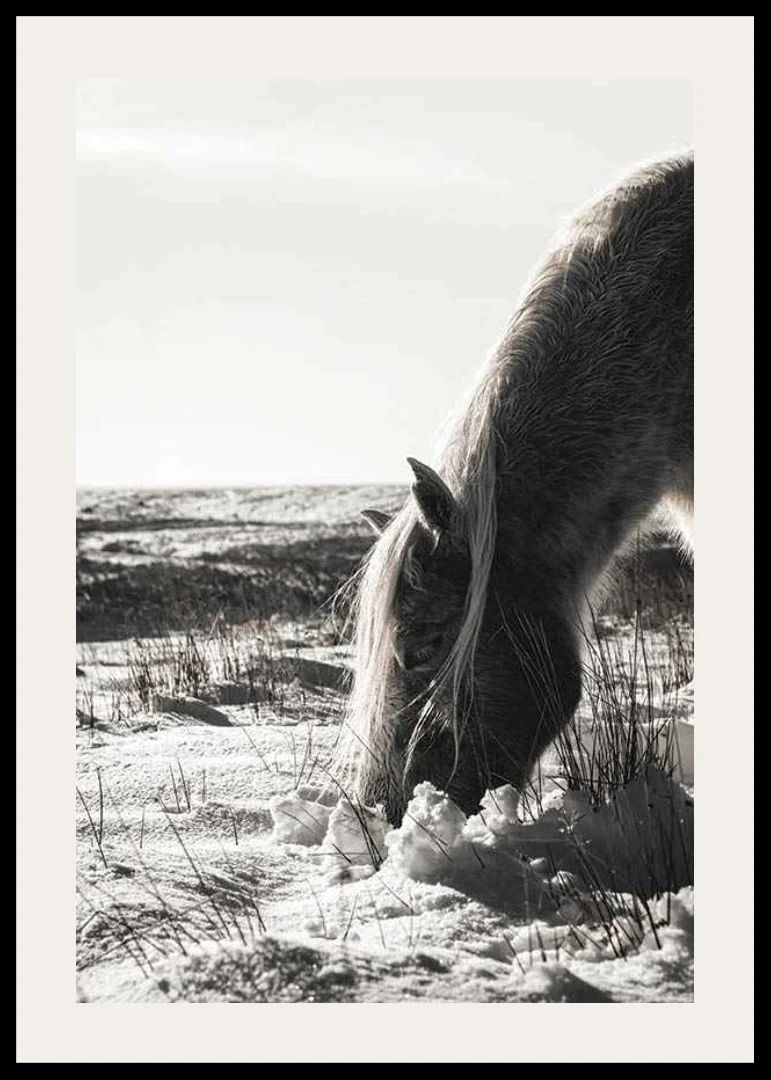 Photographic horse in winter landscape with light shades-12