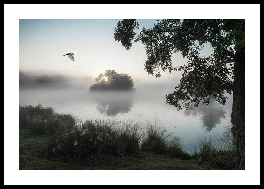 Fotografi av vit fågel som flyger över dimmig sjö i gryning-12