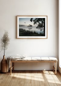 Fotografi av vit fågel som flyger över dimmig sjö i gryning-8