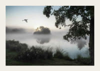 Fotografie cu o pasăre albă zburând peste un lac învăluit în ceață în zori-3