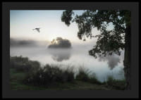 Fotografie cu o pasăre albă zburând peste un lac învăluit în ceață în zori-4
