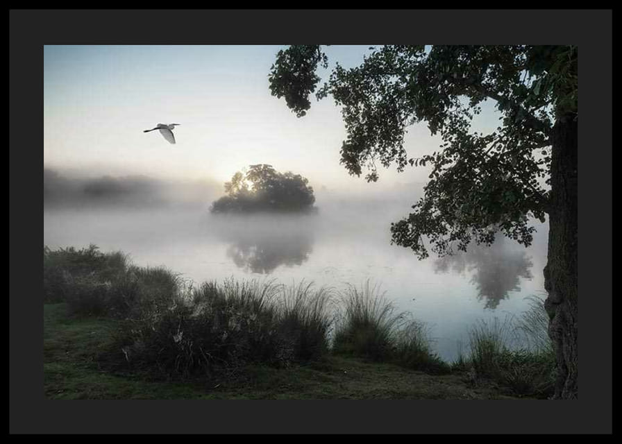 Fotografie cu o pasăre albă zburând peste un lac învăluit în ceață în zori-12