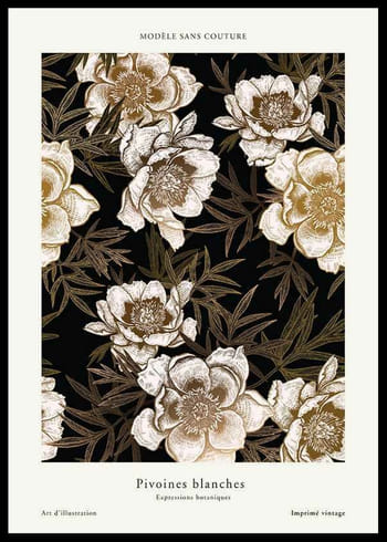 Poster Pivoines Blanches
