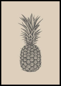 Pineapple Sketch-2