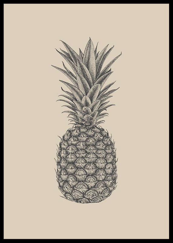Pineapple Sketch-12