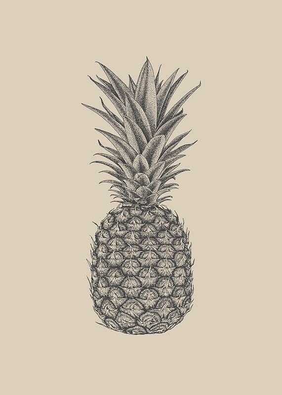 Detaljerad ananasillustration i grå toner på beige bakgrund-12