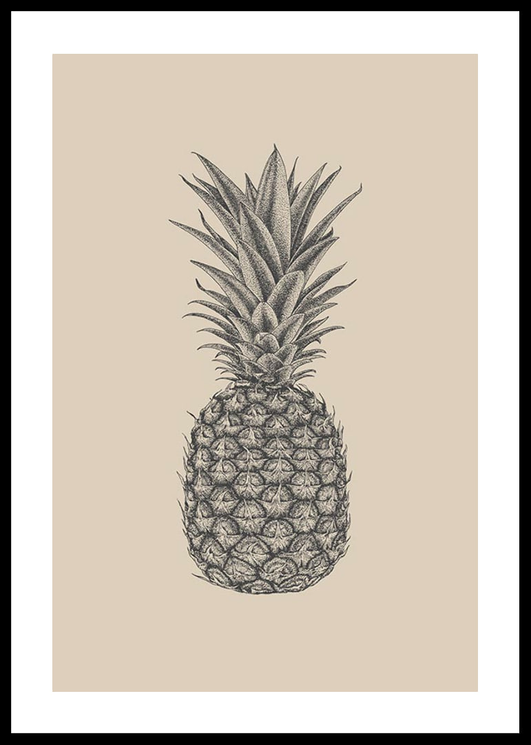 Detaljerad ananasillustration i grå toner på beige bakgrund-12