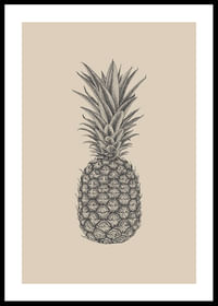 Pineapple Sketch-0
