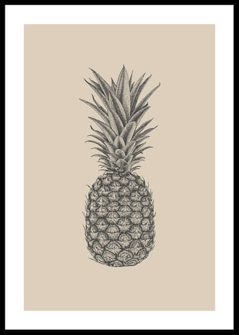 Poster Pineapple Sketch