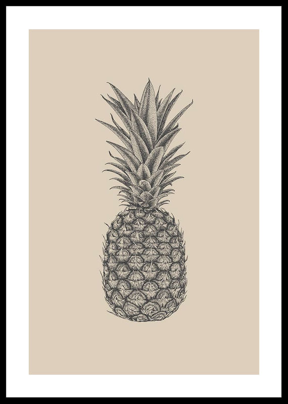 Pineapple Sketch-12