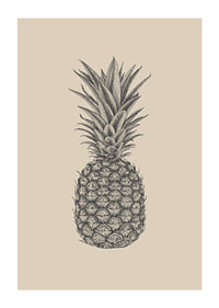 Detaljerad ananasillustration i grå toner på beige bakgrund-1