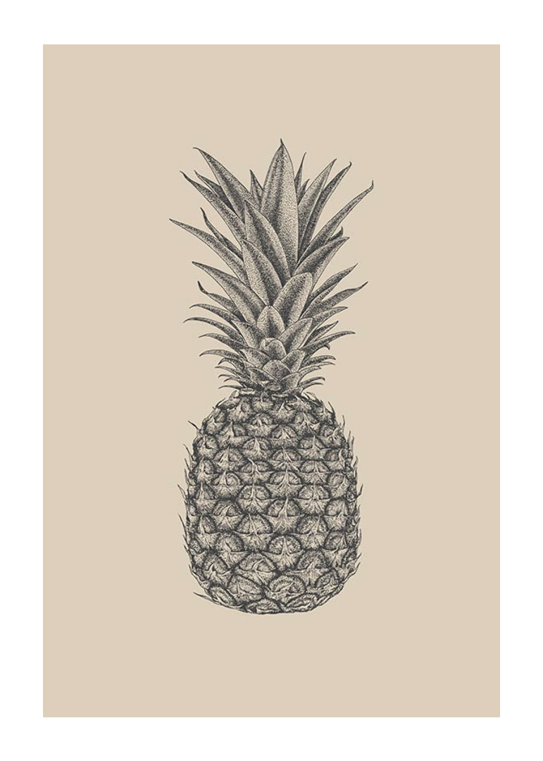 Detaljerad ananasillustration i grå toner på beige bakgrund-12