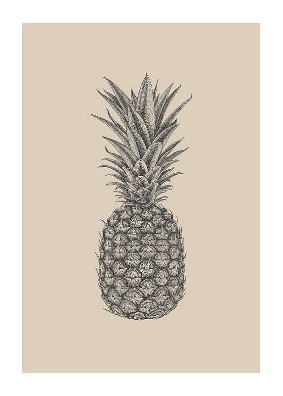 Plagát Pineapple Sketch