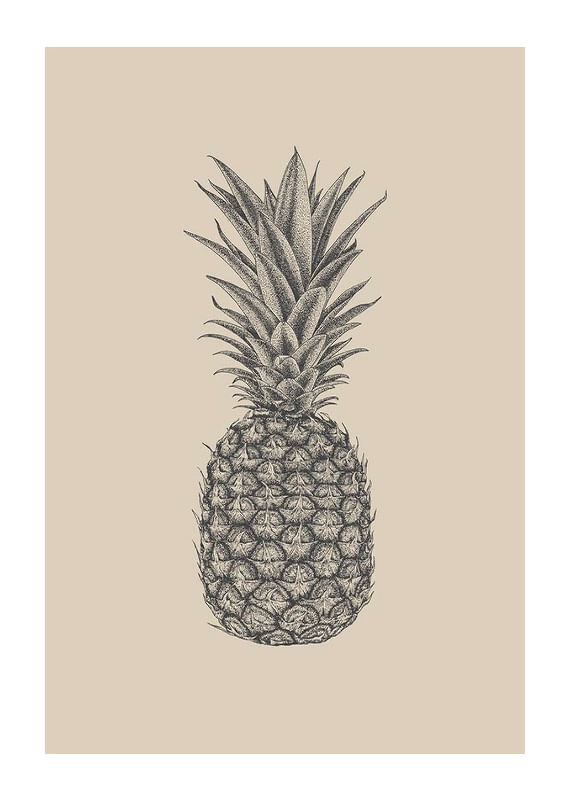 Pineapple Sketch-12