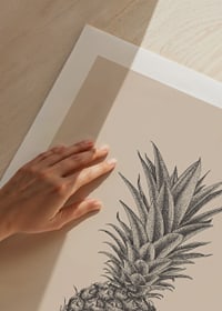 Detaljerad ananasillustration i grå toner på beige bakgrund-9