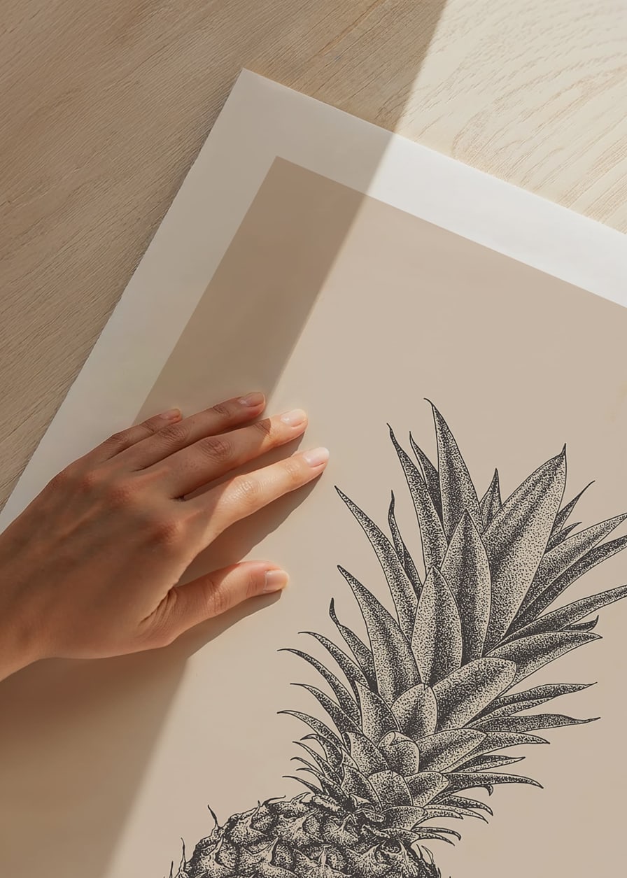 Detaljerad ananasillustration i grå toner på beige bakgrund-12