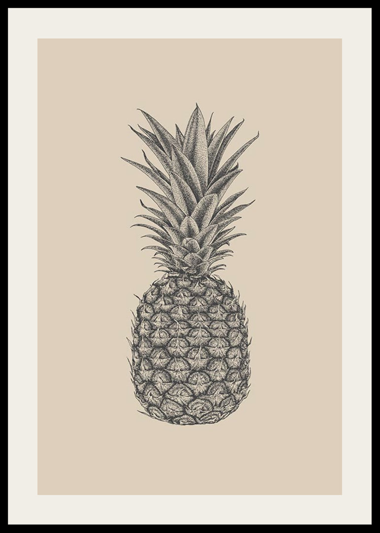 Detaljerad ananasillustration i grå toner på beige bakgrund-12