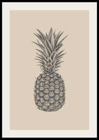 Ilustración detallada de piña en tonos grises sobre fondo beige.-2