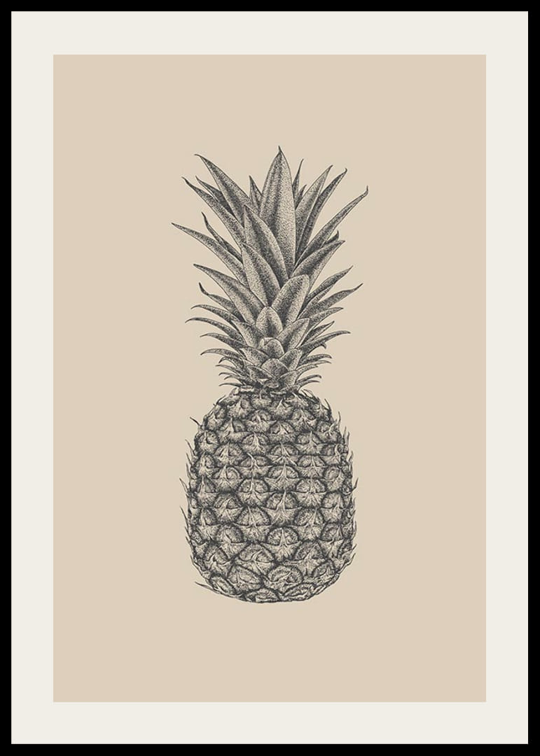 Ilustración detallada de piña en tonos grises sobre fondo beige.-12