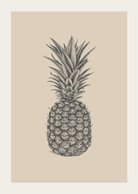 Detaljerad ananasillustration i grå toner på beige bakgrund-3