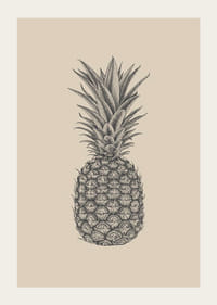 Ilustración detallada de piña en tonos grises sobre fondo beige.-3