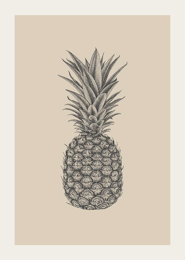Ilustración detallada de piña en tonos grises sobre fondo beige.-12