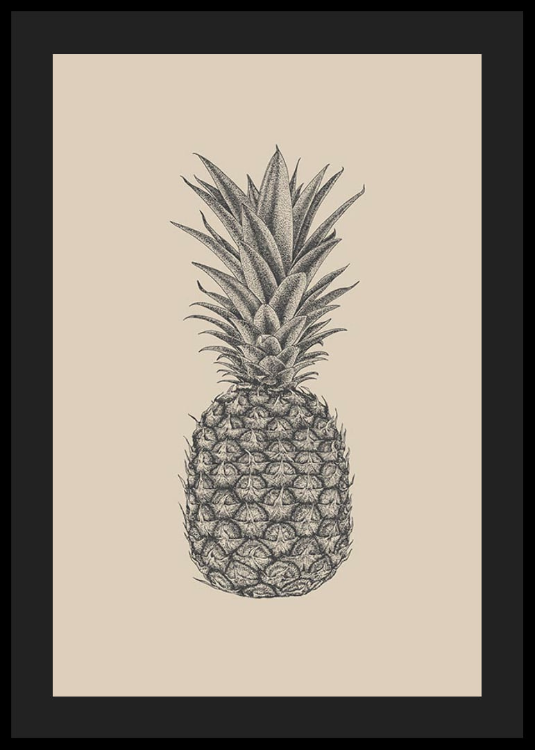 Detaljerad ananasillustration i grå toner på beige bakgrund-12