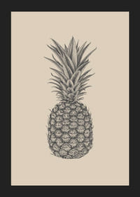 Ilustración detallada de piña en tonos grises sobre fondo beige.-5