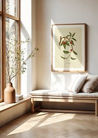 Botanical illustration of cherry branch with red berries-8