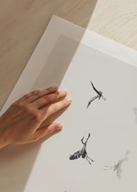 Illustration av fågel som lyfter från vatten i grå toner-9