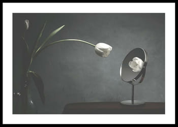 Poster Vanity Tulip