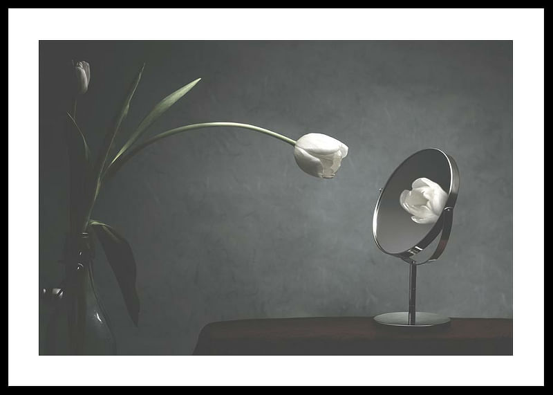 Vanity Tulip-12