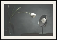 Tulipe blanche dans un vase reflétée sur un fond sombre-2