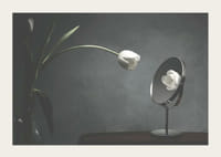 Tulipe blanche dans un vase reflétée sur un fond sombre-3