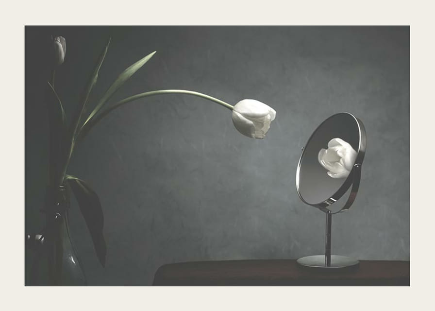 Tulipe blanche dans un vase reflétée sur un fond sombre-12