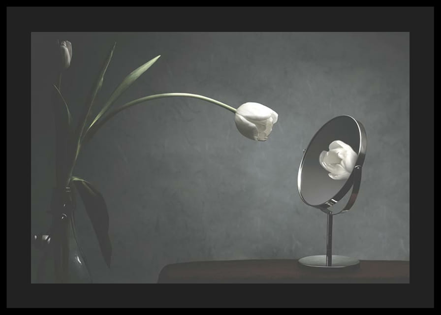 Tulipe blanche dans un vase reflétée sur un fond sombre-12