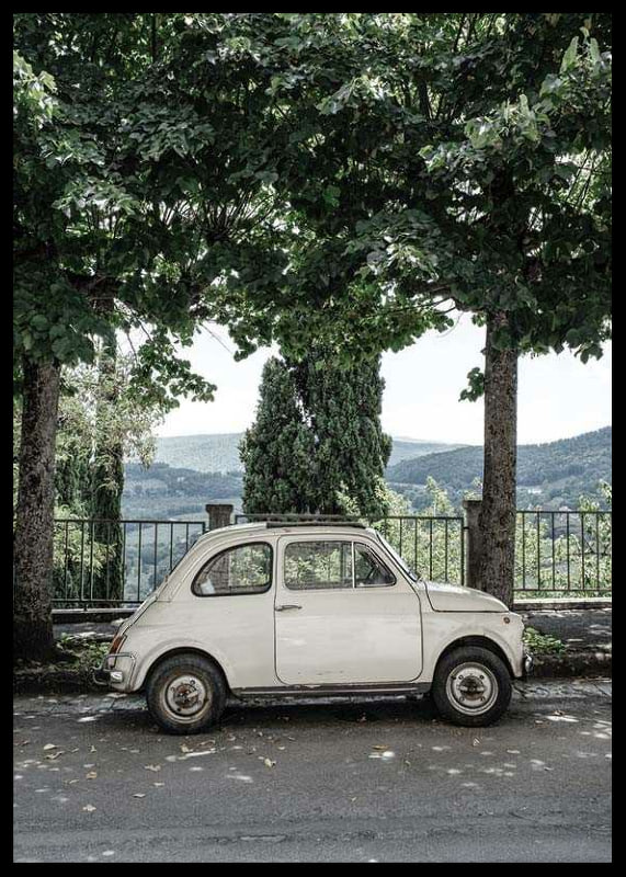 Photograph of white vintage car parked under green trees-12