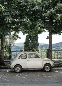 Photograph of white vintage car parked under green trees-7