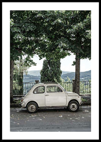 Photograph of white vintage car parked under green trees-0