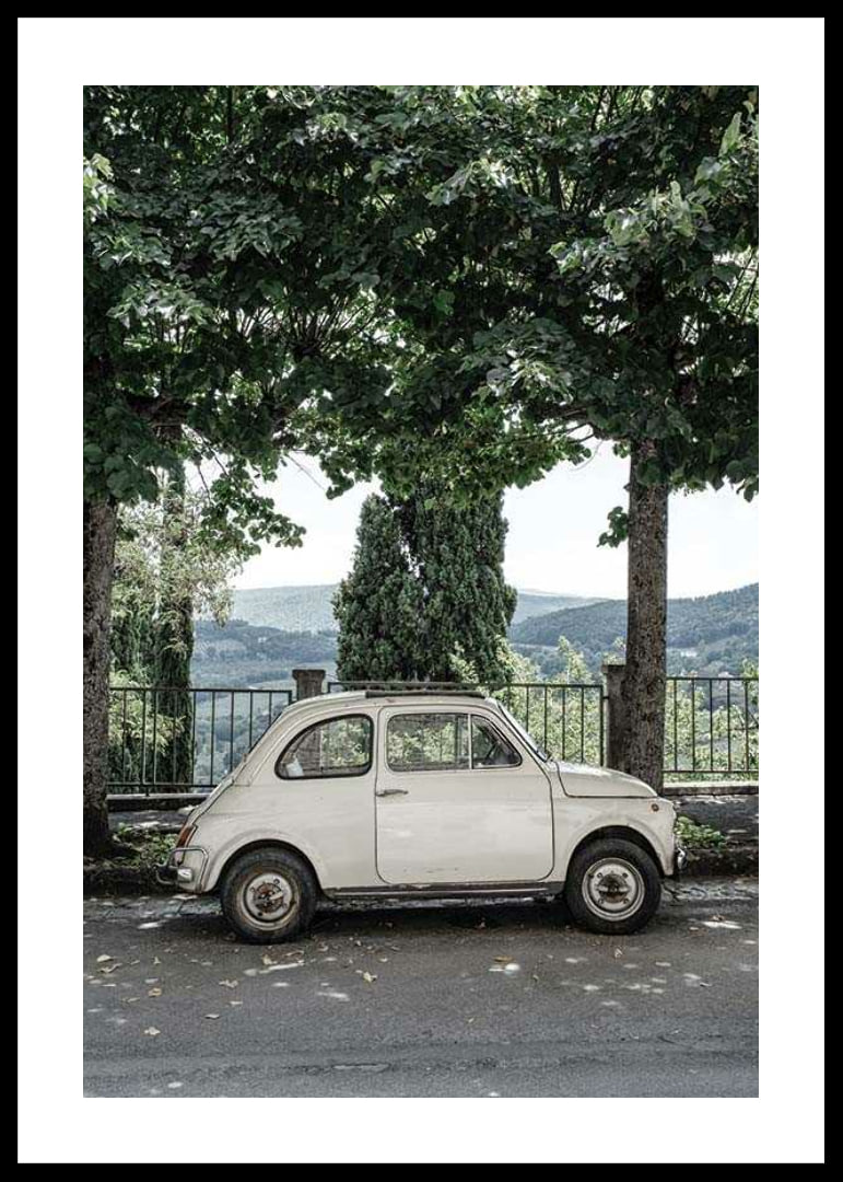 Photograph of white vintage car parked under green trees-12
