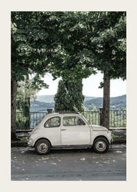 Foto van een witte vintage auto geparkeerd onder groene bomen-3