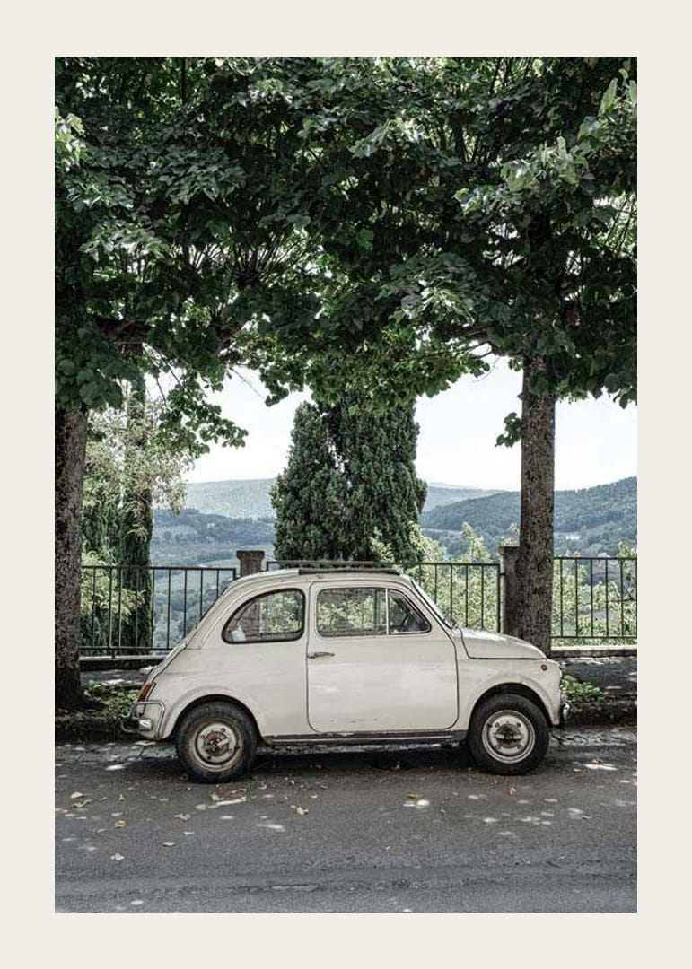 Foto van een witte vintage auto geparkeerd onder groene bomen-12