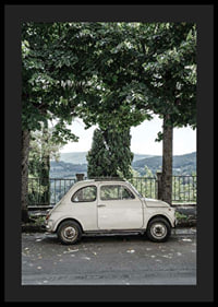 Photograph of white vintage car parked under green trees-4